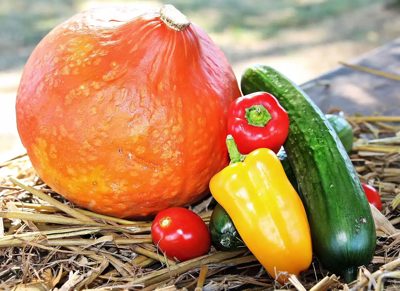 Aproveitando ao máximo os produtos sazonais: um guia para vegetais de outono